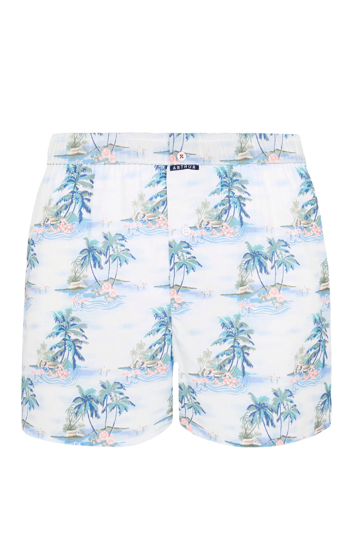 Caleçon classique Homme Hawai Bleu 3 Ghost