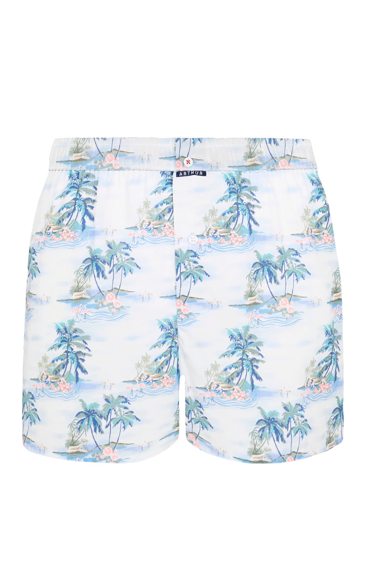 Caleçon classique Homme Hawai Bleu 3