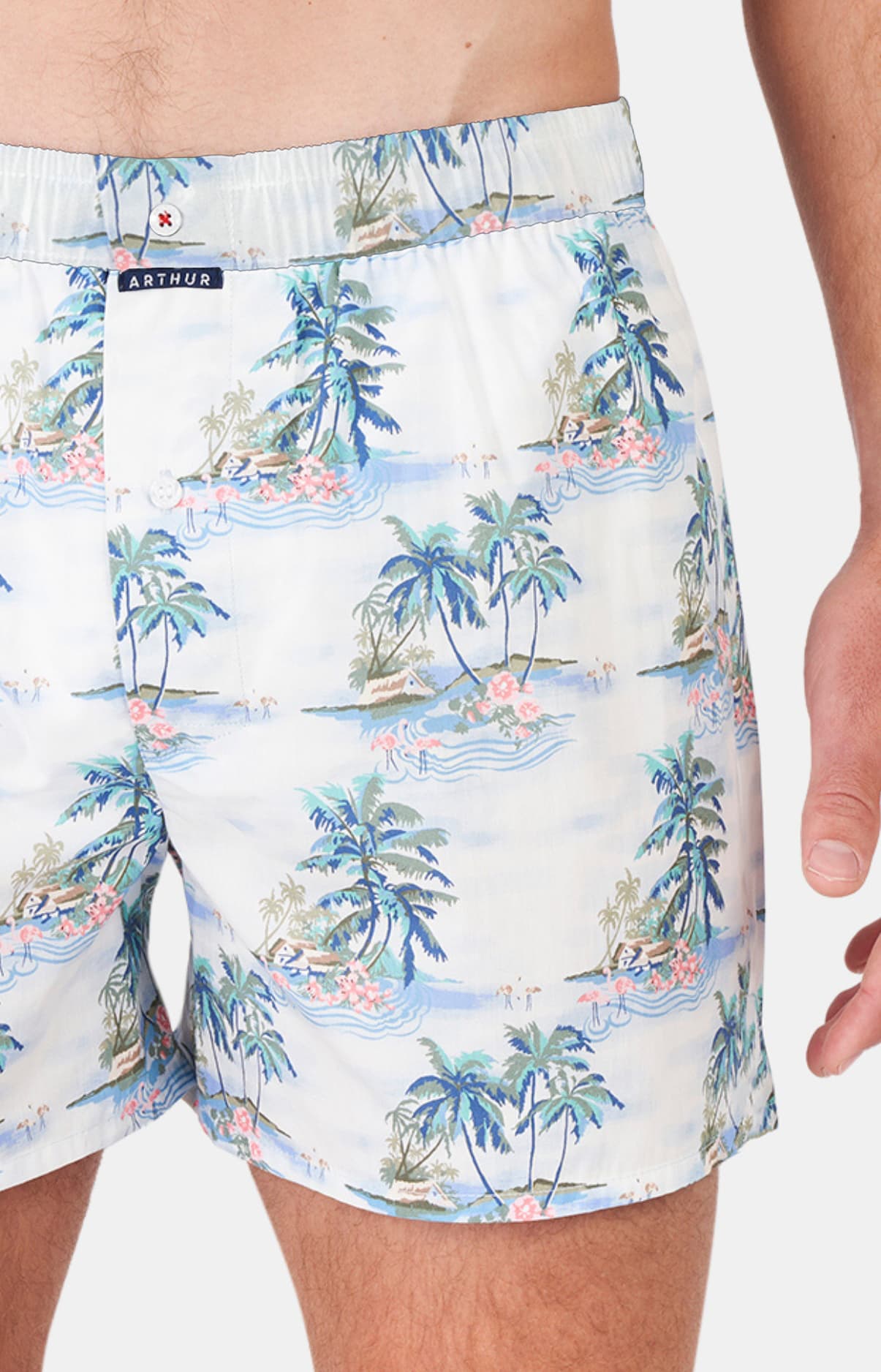 Caleçon classique Homme Hawai Bleu 1