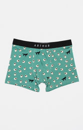 Boxer Homme Mouton Vert 3
