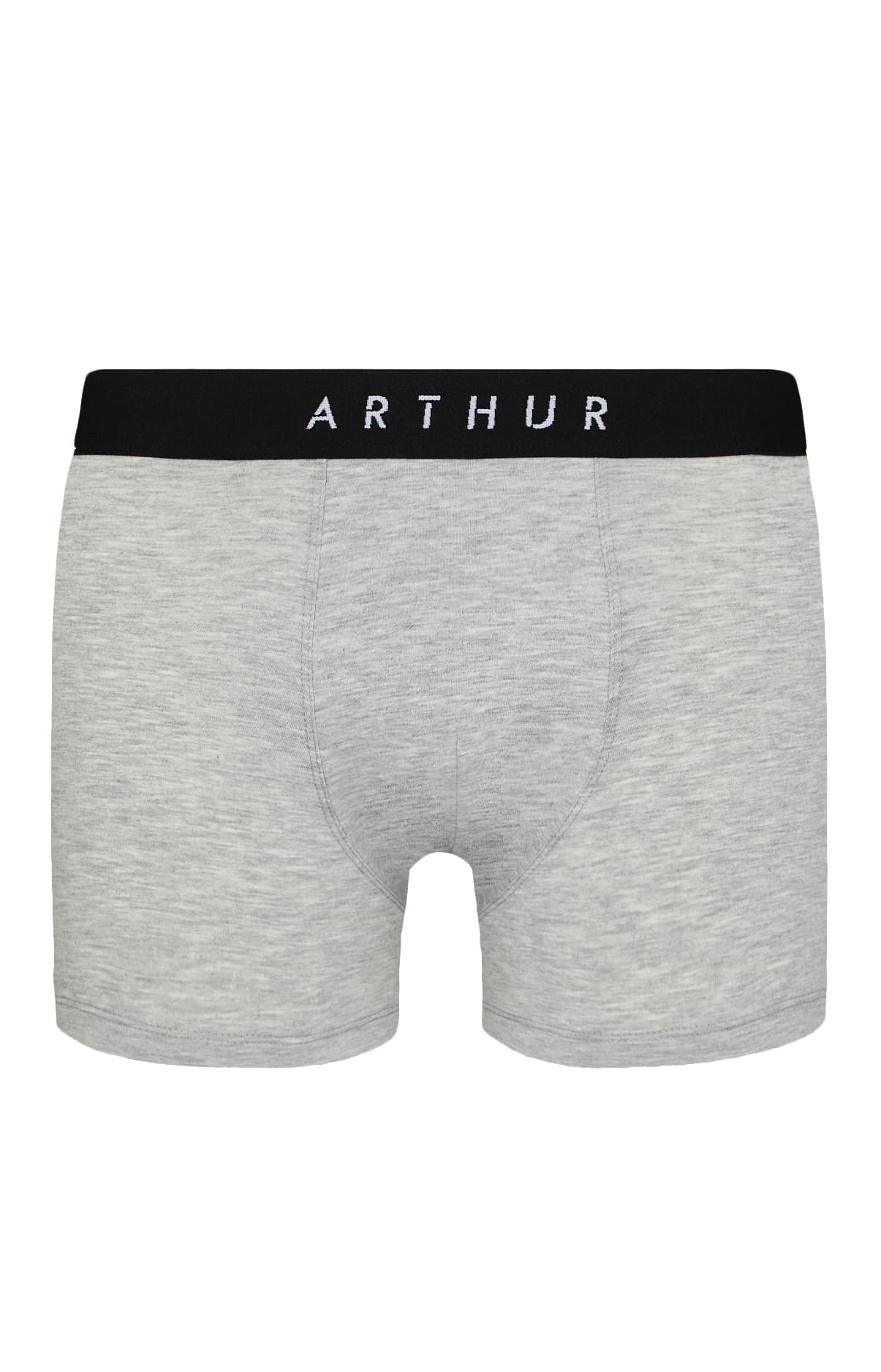 Boxer Homme Tradi Gris 3