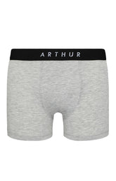 Boxer Homme Tradi Gris 3