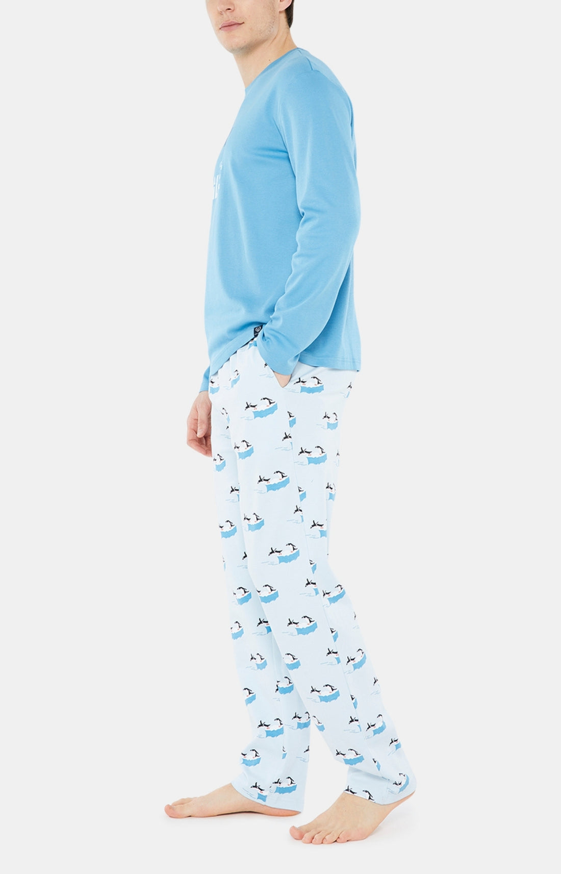 Pajamas - Iceberg