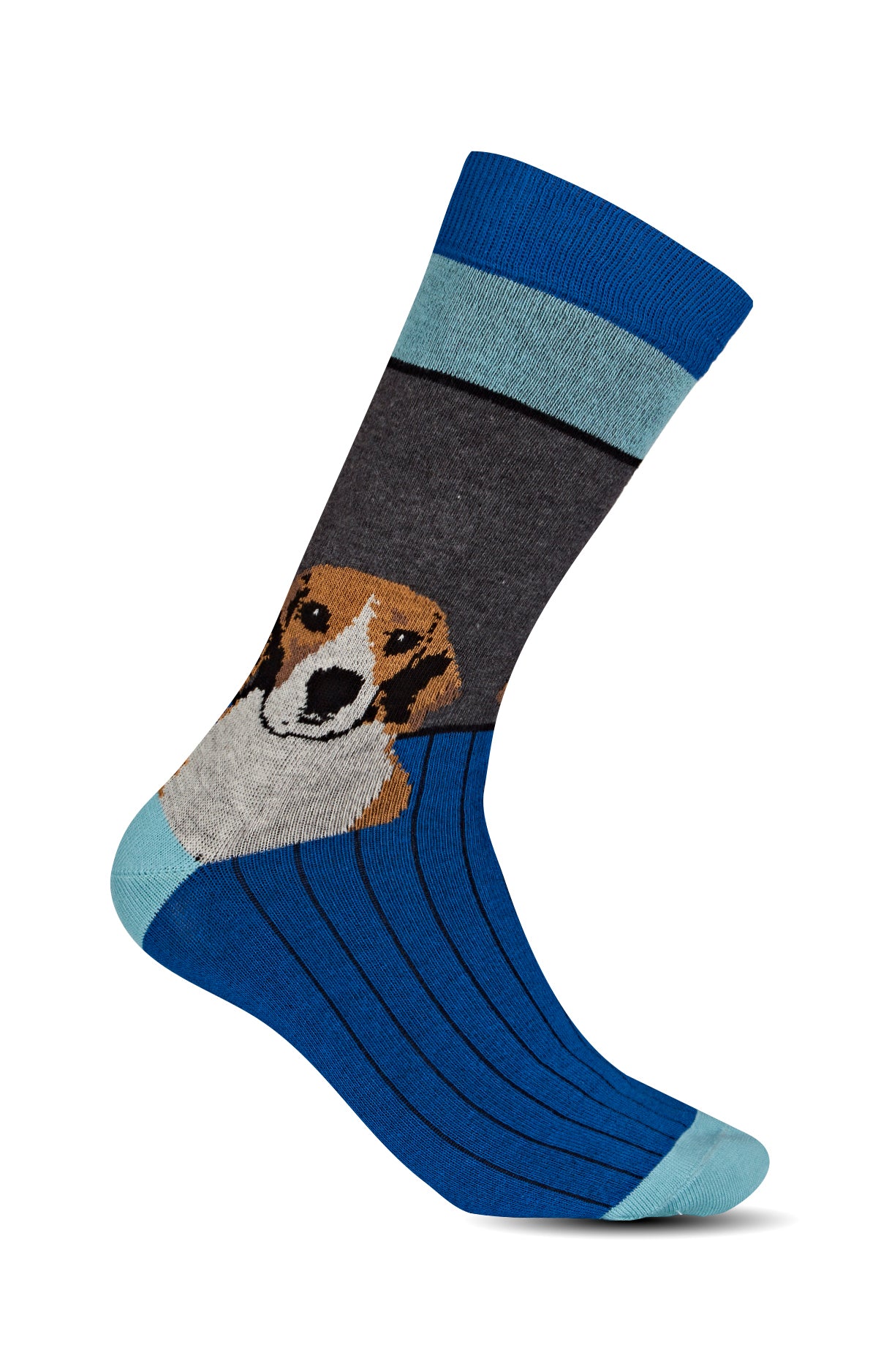 Socks - Beagle