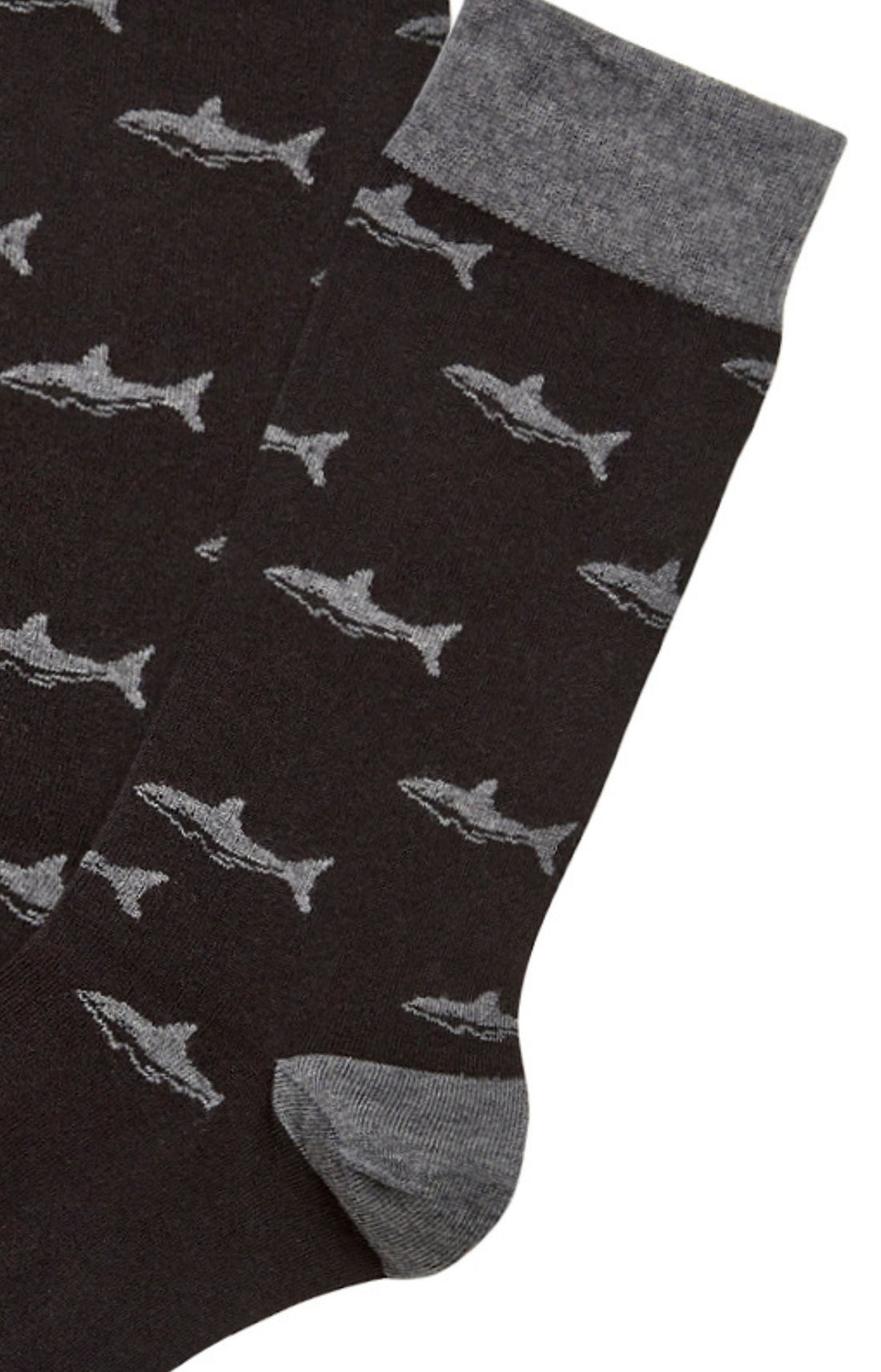 Black Socks - Shark
