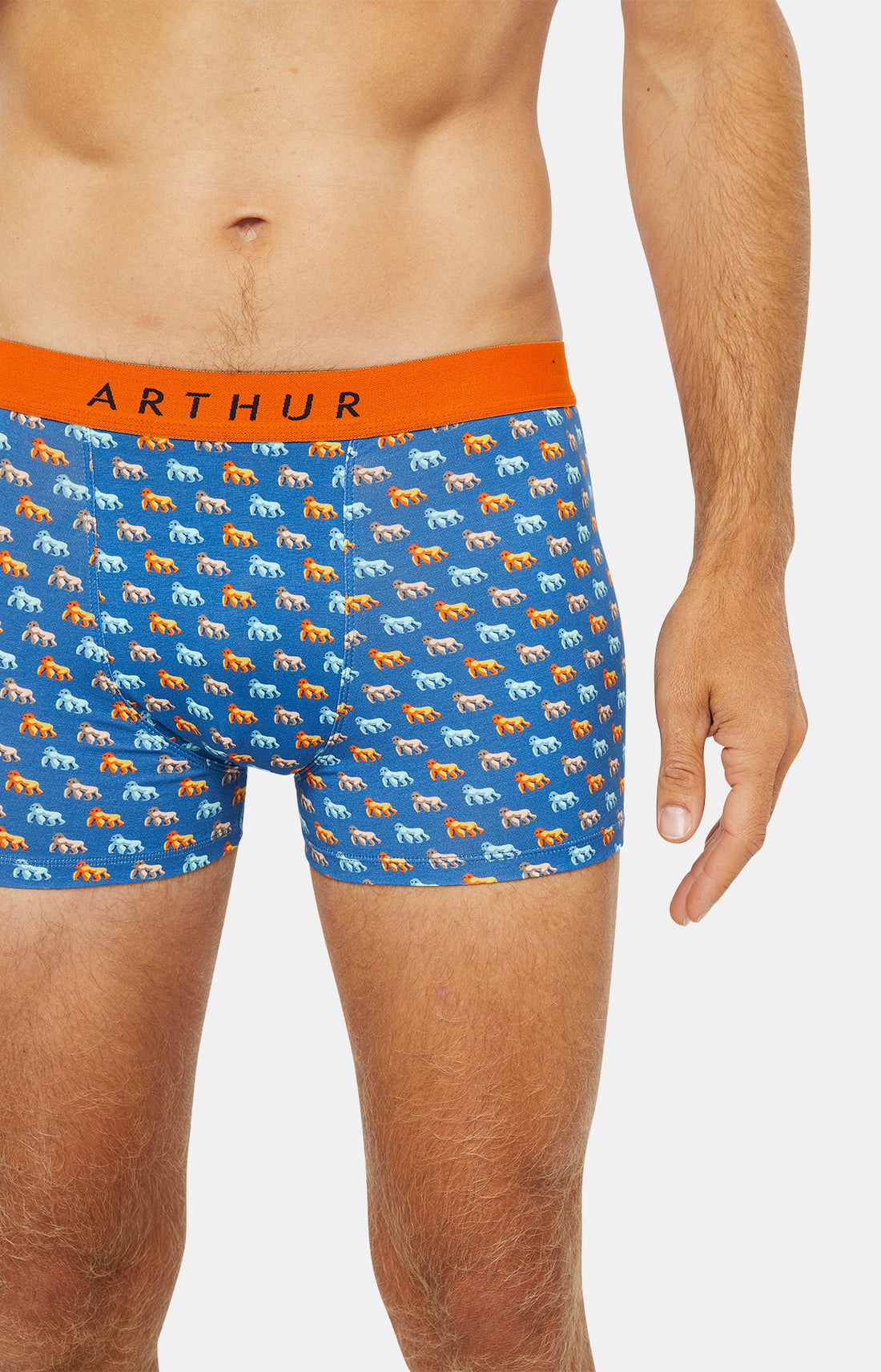 Boxer Homme Gorille Bleu 2
