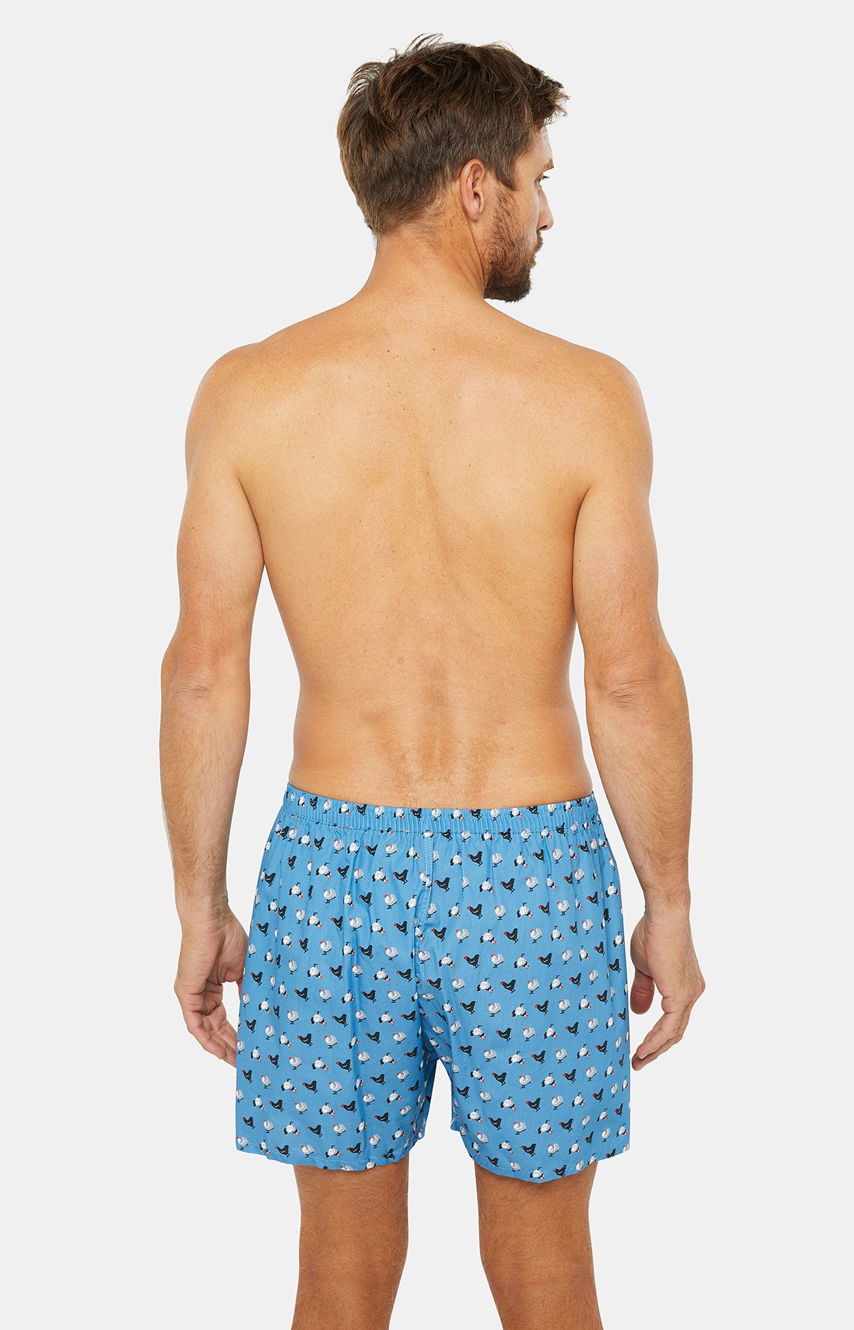 Classic boxer underpant - Chicken