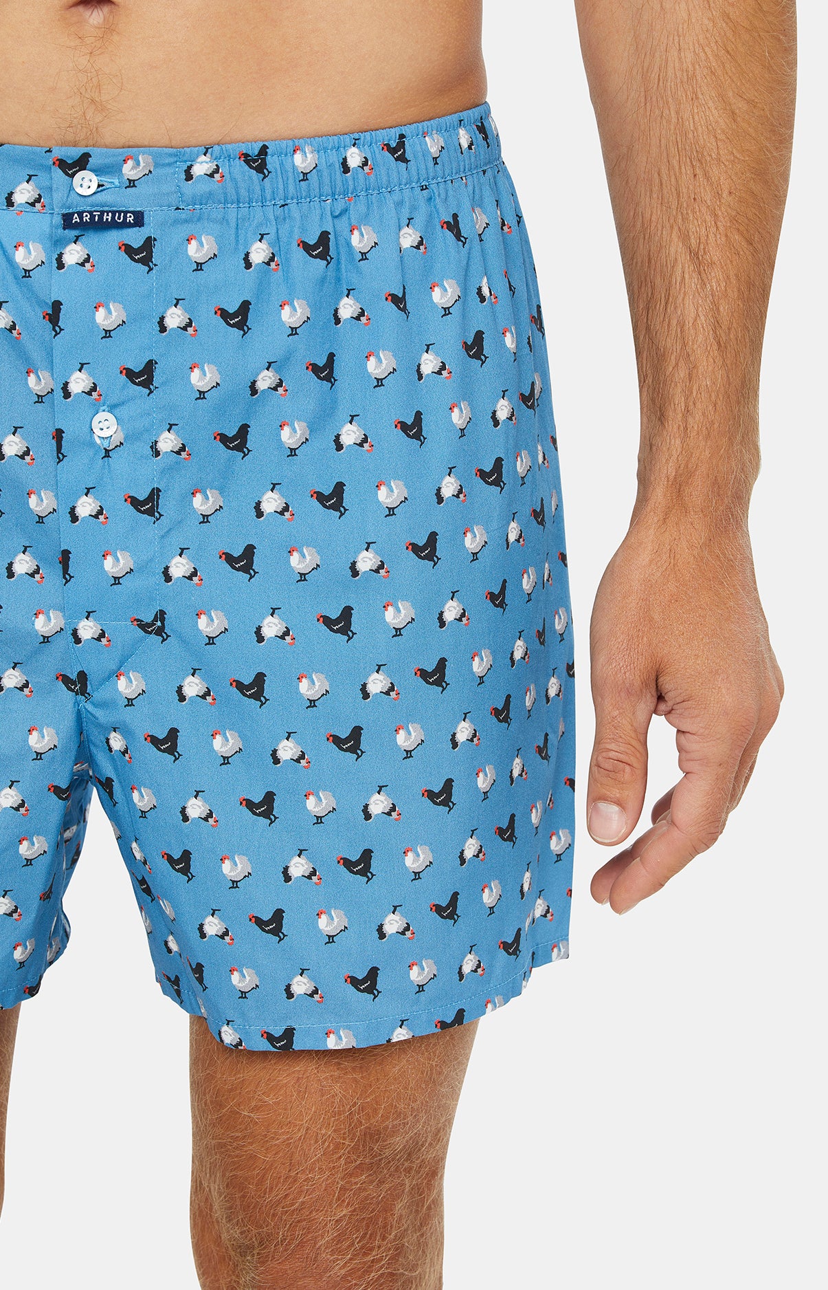 Classic boxer underpant - Chicken