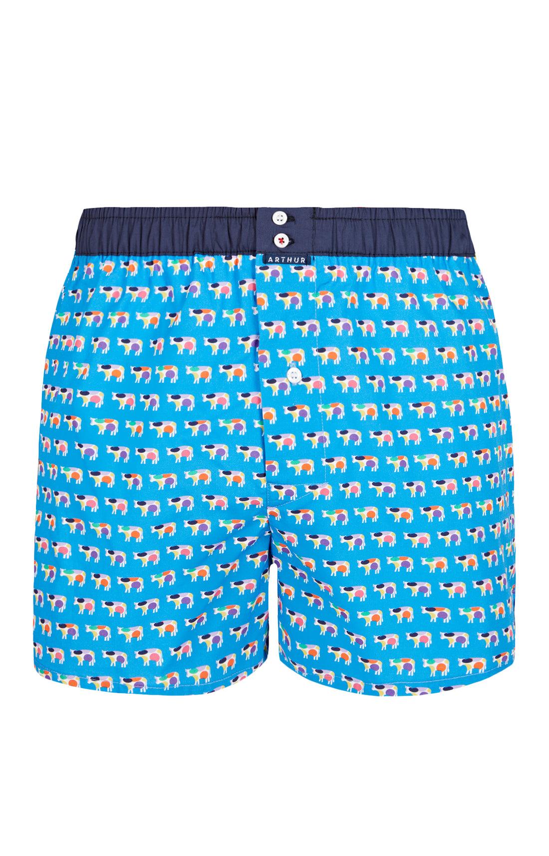 Caleçon avec suspensoir Homme Le Club n°973 Bleu 3